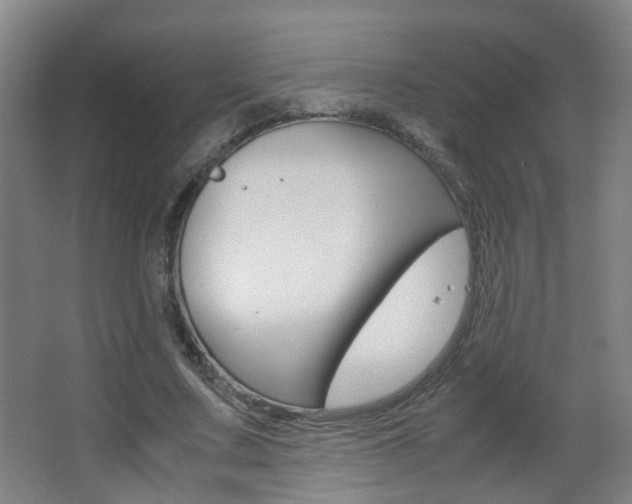X0000063520683200601201126