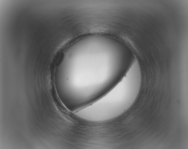 X0000063520684200601201126