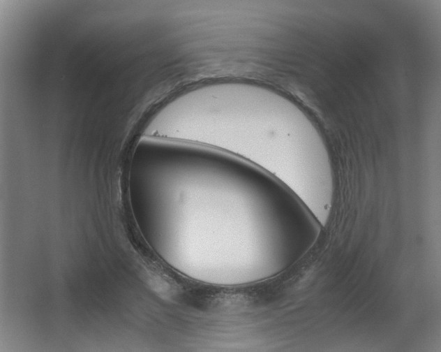 X0000063520685200601201126