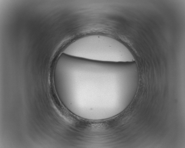 X0000063520686200601201126