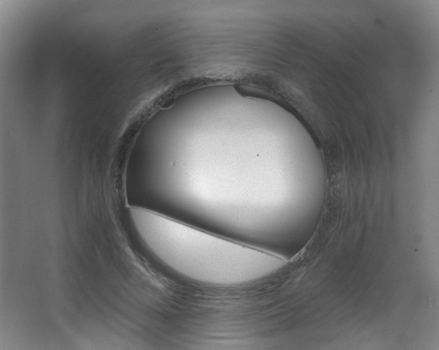 X0000063520688200601201126