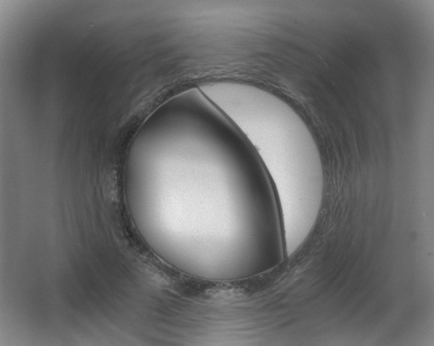 X0000063520689200601201126