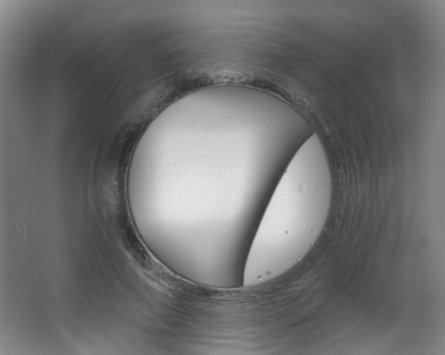 X0000063520690200601201126