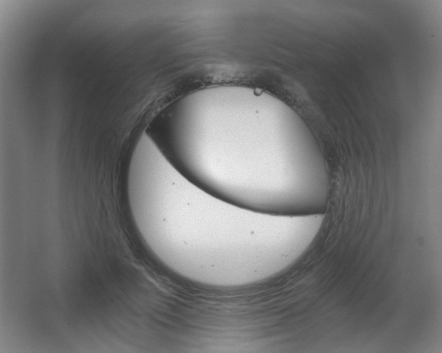 X0000063520691200601201126