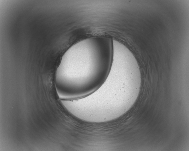 X0000063520697200601201125
