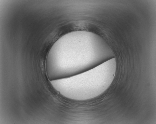 X0000063520699200601201125