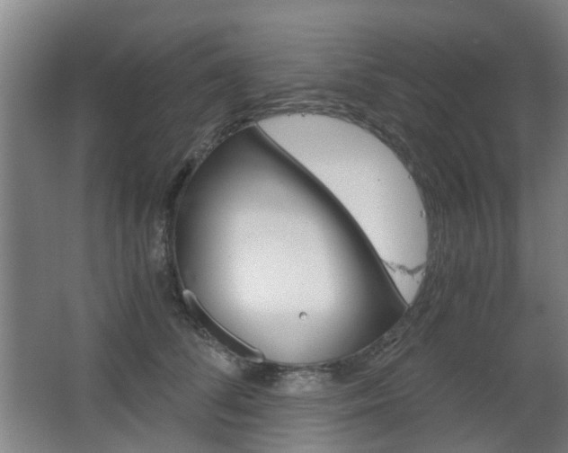 X0000063520708200601201125