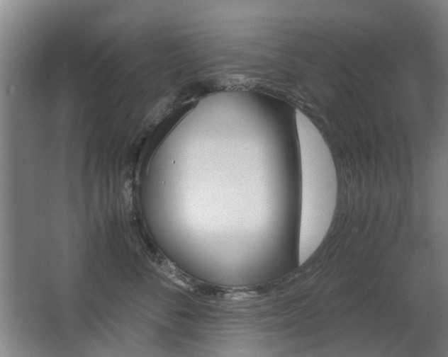 X0000063520716200601201125