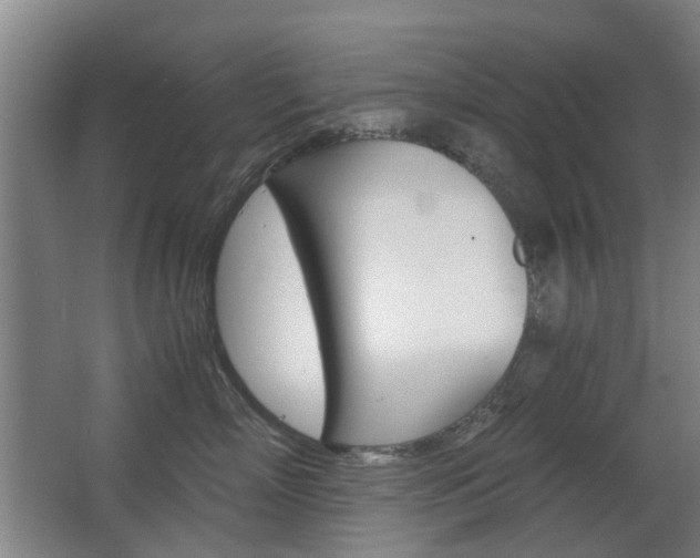 X0000063520718200601201125