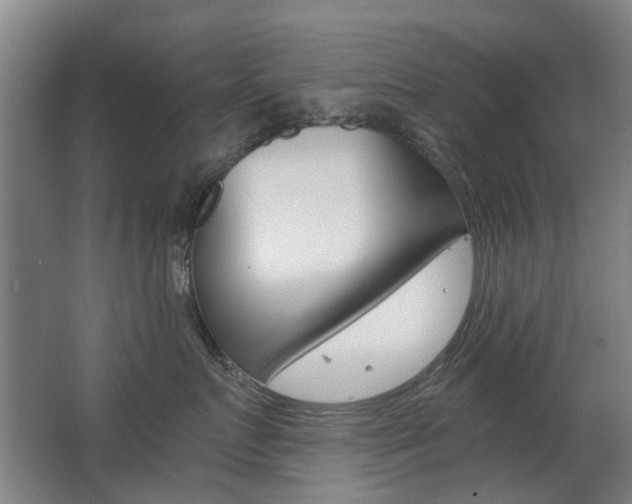X0000063520719200601201125