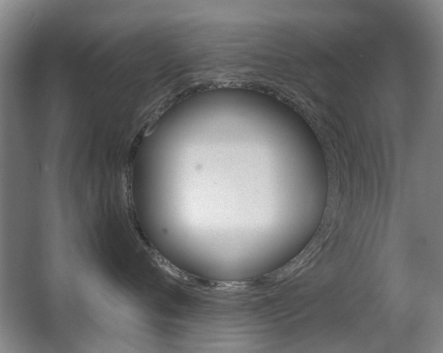 X0000063520720200601201125