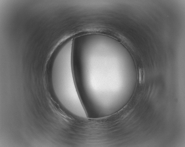 X0000063520723200601201124