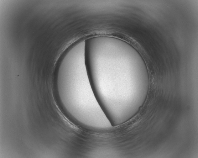 X0000063520725200601201124