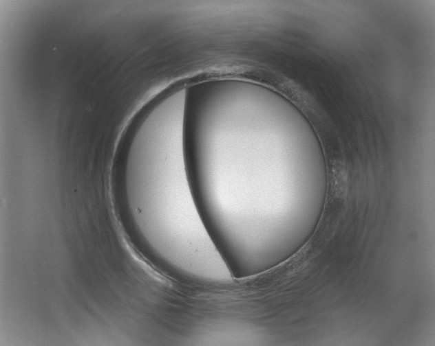 X0000063520726200601201124