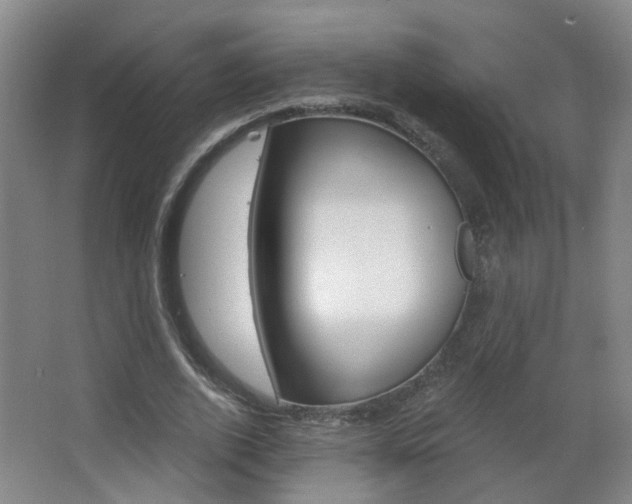 X0000063520728200601201124