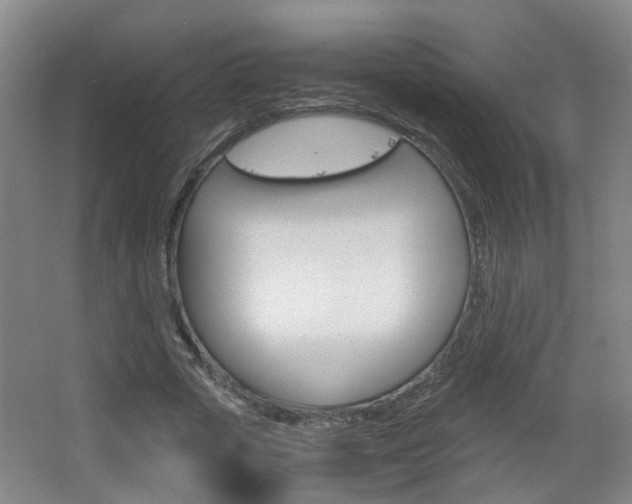 X0000063520729200601201124