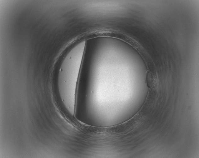 X0000063520732200601201124