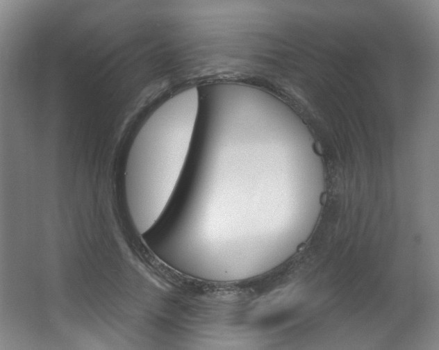 X0000063520738200601201125