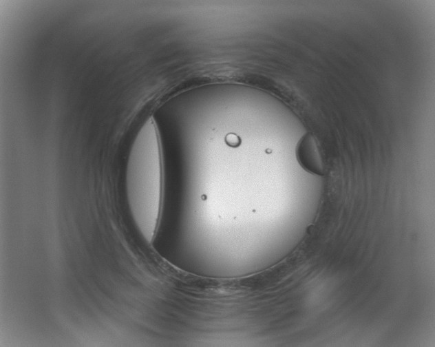 X0000063520739200601201125