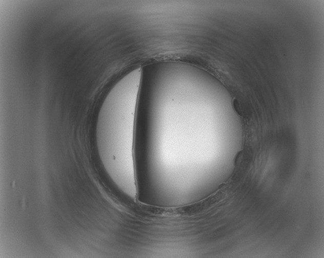X0000063520742200601201125