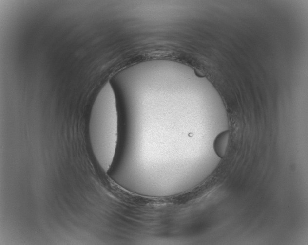 X0000063520745200601201125