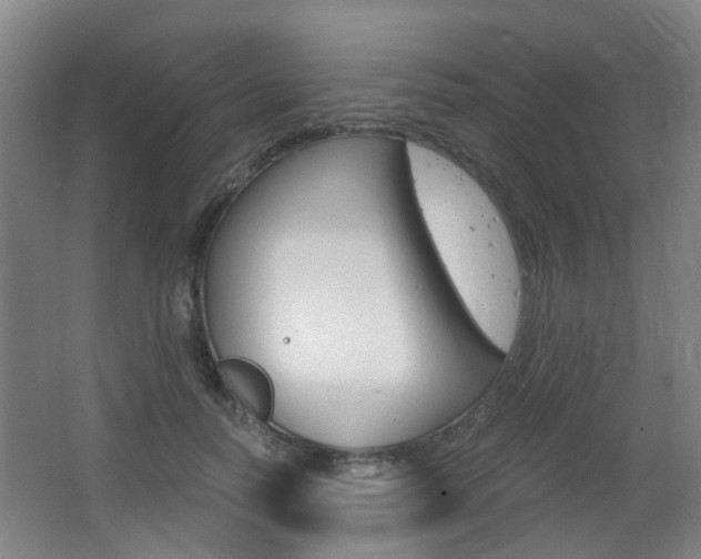 X0000063520746200601201125