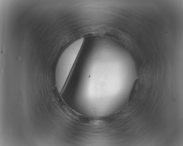 X0000063520748200601201125