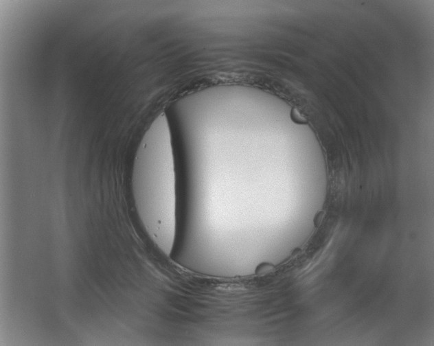 X0000063520749200601201125