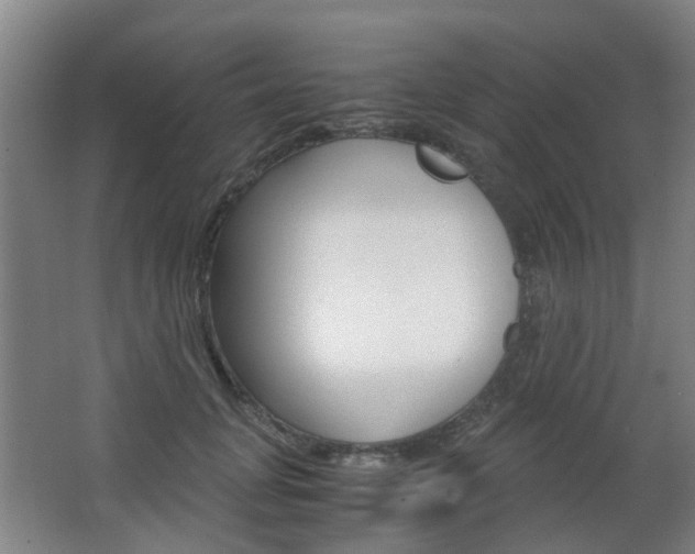 X0000063520751200601201125