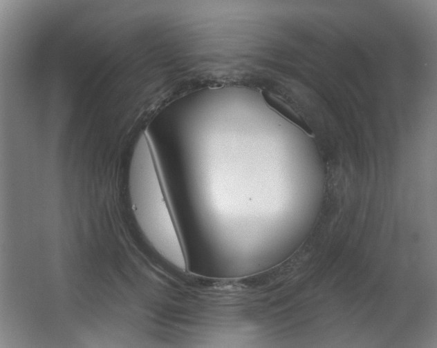 X0000063520752200601201125
