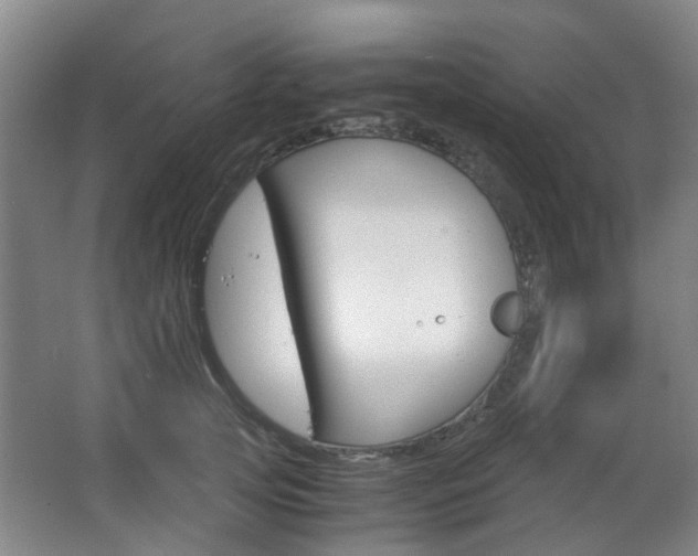 X0000063520753200601201125