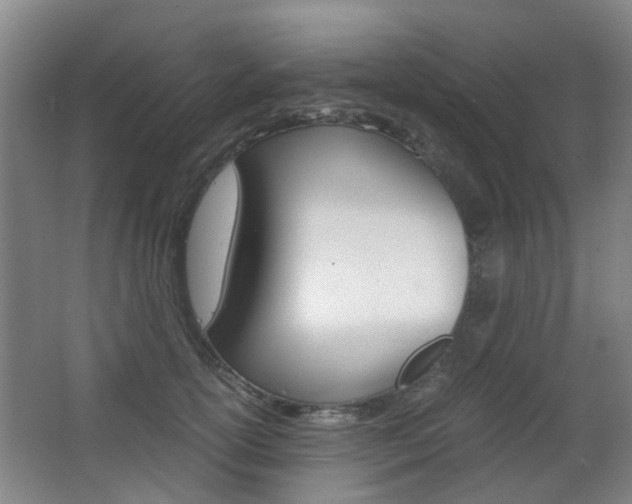 X0000063520754200601201125