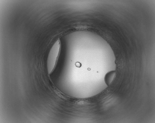 X0000063520755200601201125