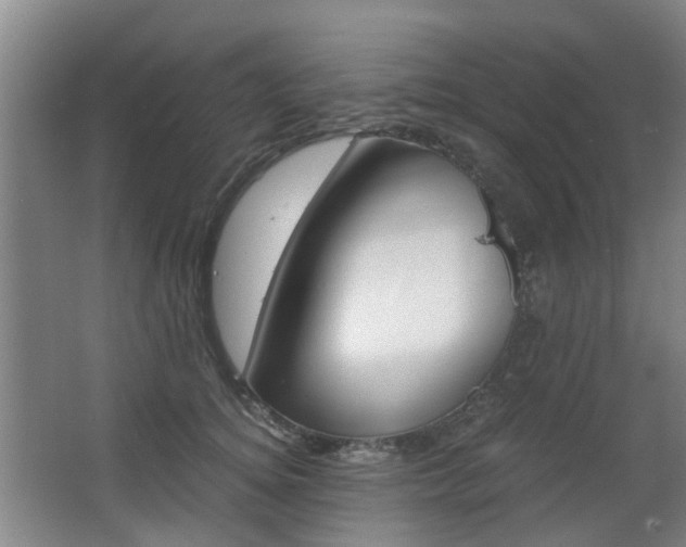 X0000063520756200601201125