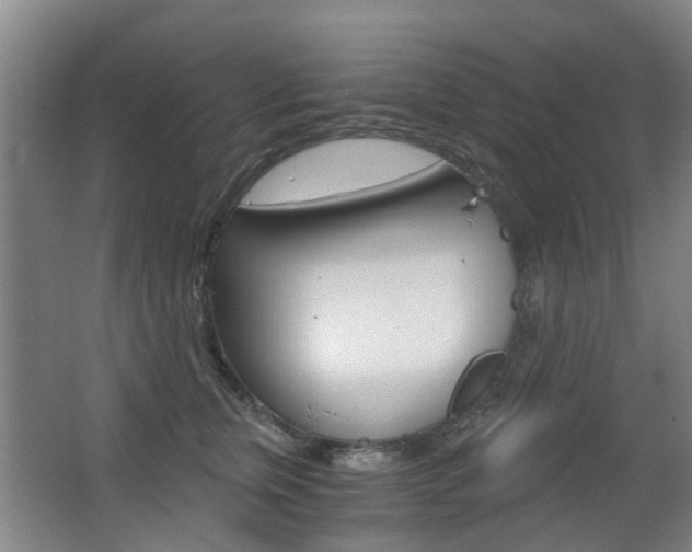 X0000063520759200601201125