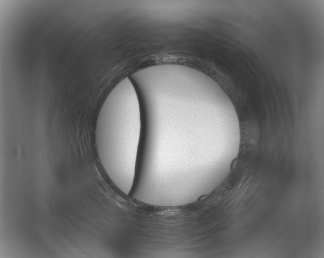 X0000063520761200601201125
