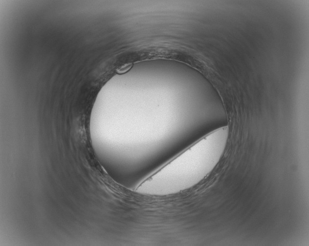 X0000063520771200601201124