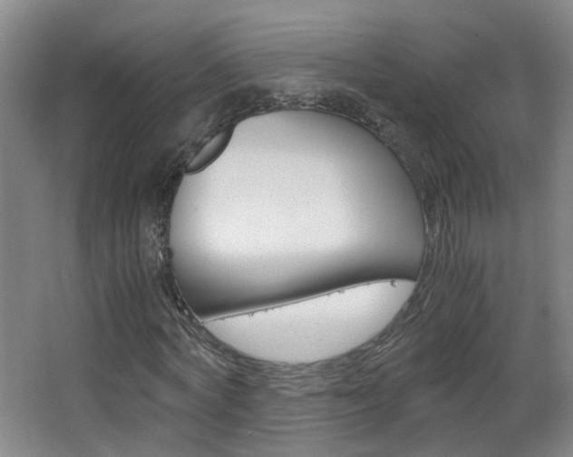 X0000063520772200601201124