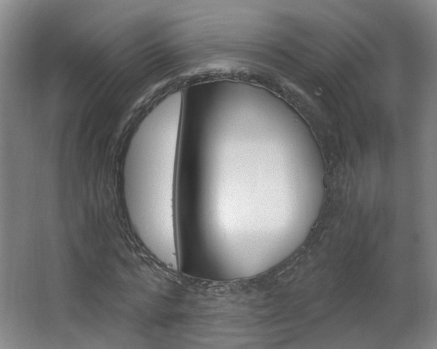 X0000063520776200601201124