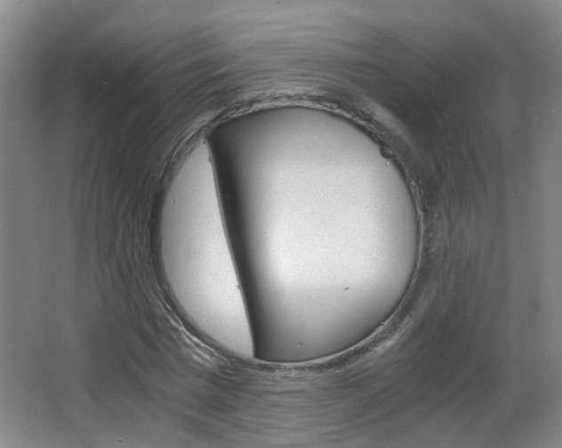 X0000063520777200601201124