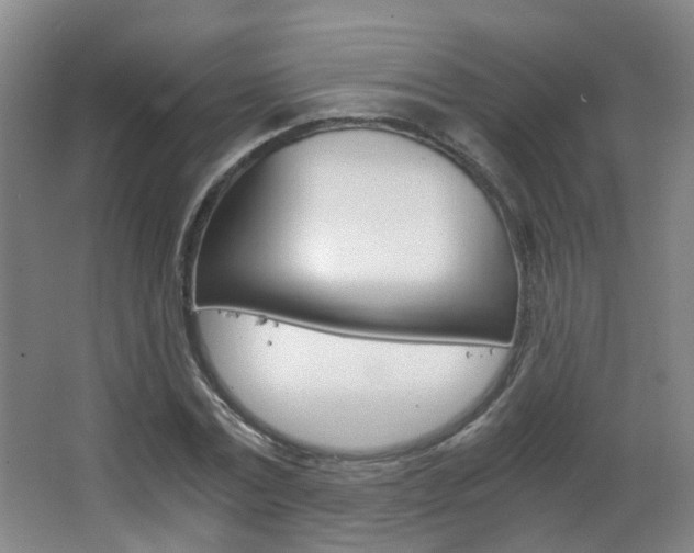 X0000063520779200601201124