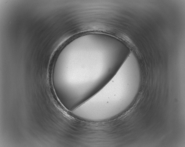 X0000063520780200601201124