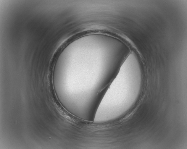 X0000063520783200601201124