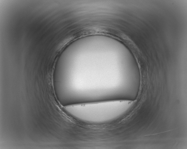 X0000063520785200601201124