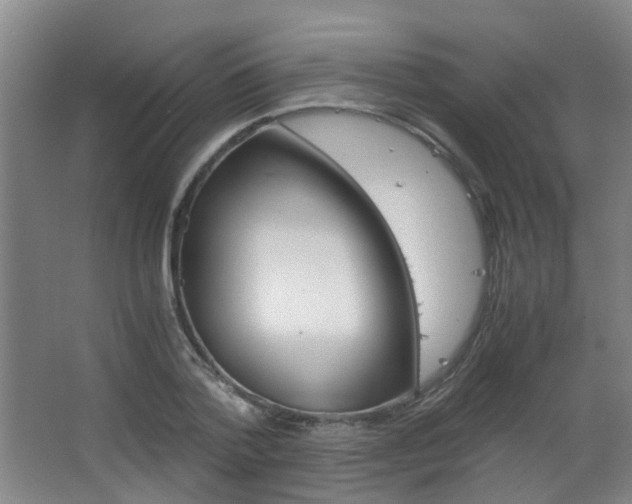 X0000063520788200601201124