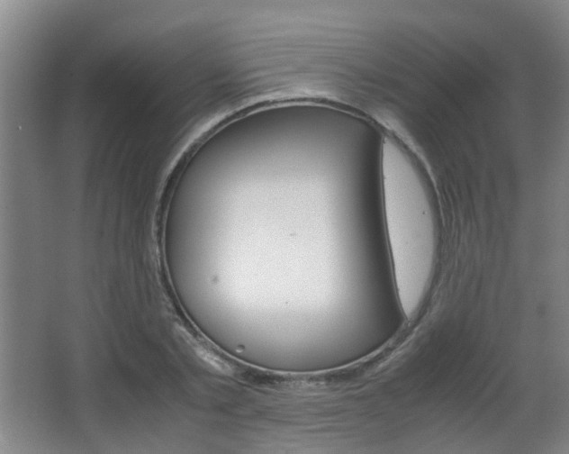 X0000063520789200601201124