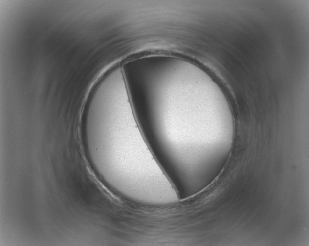 X0000063520791200601201124
