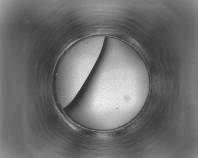X0000063520794200601201124