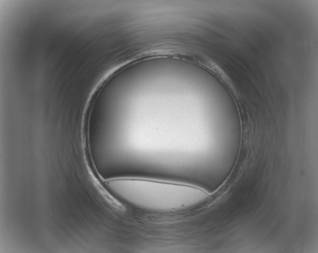 X0000063520795200601201124