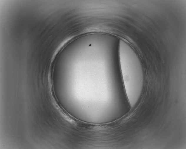 X0000063520796200601201124